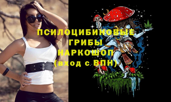 spice Горнозаводск
