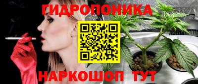 экстази Берёзовский