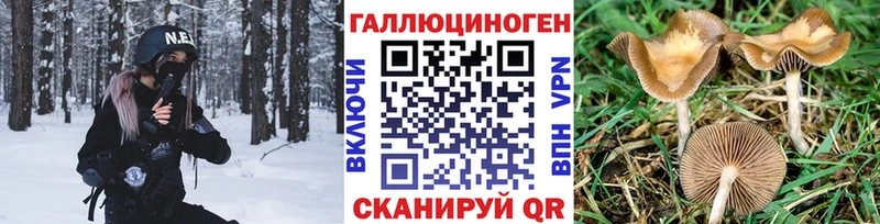наркошоп маркетплейс состав Галлюциногенные грибы MAGIC MUSHROOMS Беслан