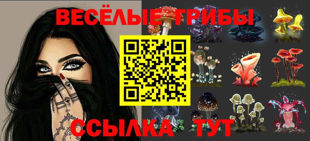 Псилоцибиновые грибы ЛСД  Псилоцибиновые грибы мухоморы  Беслан  где можно купить   Вход с VPN 