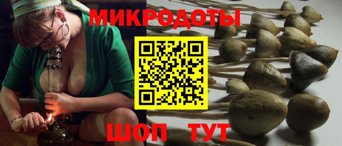 Псилоцибиновые грибы GOLDEN TEACHER Беслан