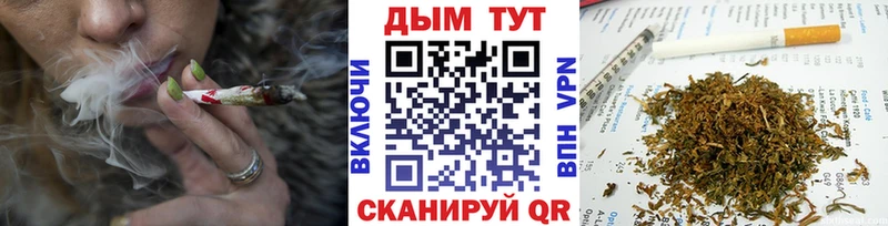 где продают   Беслан  Каннабис OG Kush 
